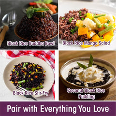 Eat Regal Ancient Black Rice, Ready in 90 Seconds, Non-GMO, Gluten-Free, 8.8 oz Pouches, Pack of 6 - Regal Kitchen Store