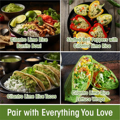 Eat Regal Gourmet Cilantro & Lime Rice, 8.8 oz Cups, Pack of 6, Non-GMO - Regal Kitchen Store