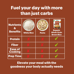 Reganic Organic Whole Grain Brown Rice(Pack of 6) - Regal Kitchen Foods 